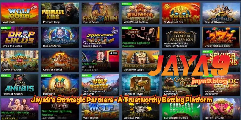 Mastering Live Casino Betting Limits A Strategic Approach